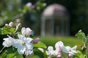 Monopteros Schacky-Park mit Apfelblüte