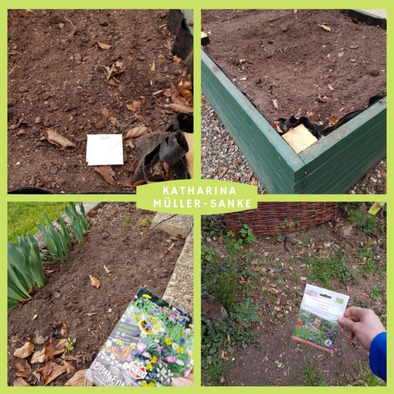 Gemeinsam für mehr Artenvielfalt #saatanne - Anne ART