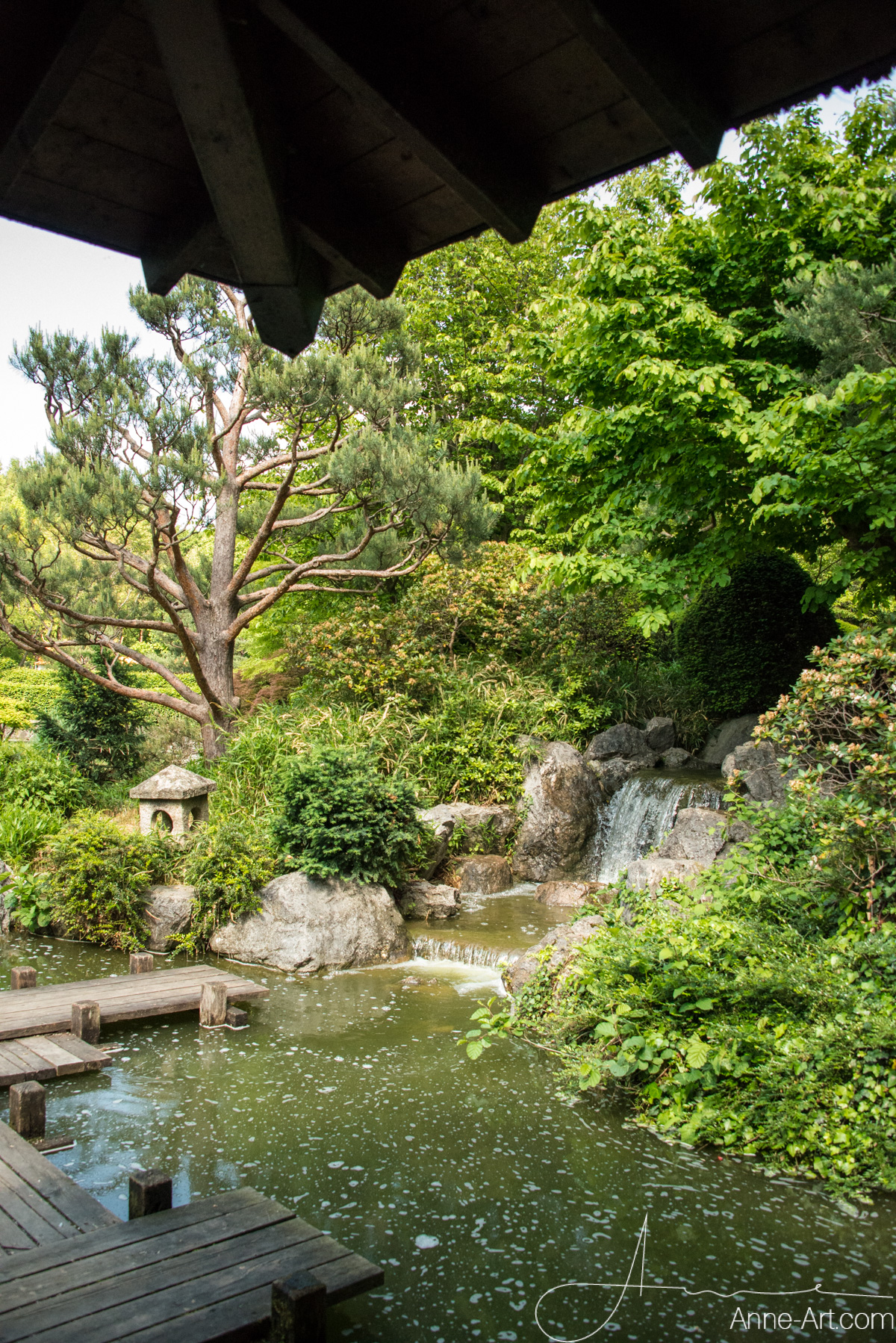 Japanischer Garten im Westpark