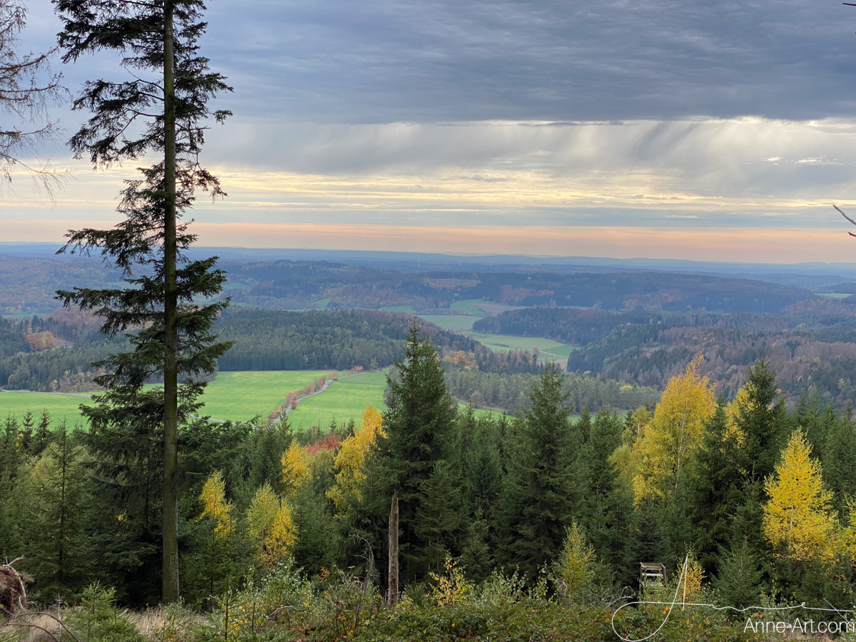 Aussicht vom Thüringer Wald